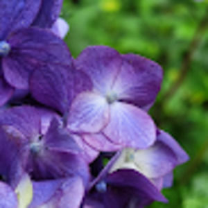 Meet your Posher, Talitha